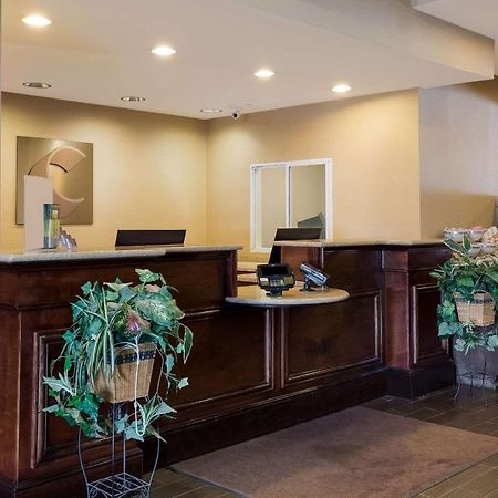 Comfort Suites Near University North Brunswick Εξωτερικό φωτογραφία